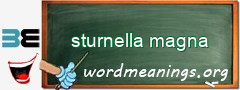 WordMeaning blackboard for sturnella magna